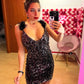 Abito Paillettes & Piume
